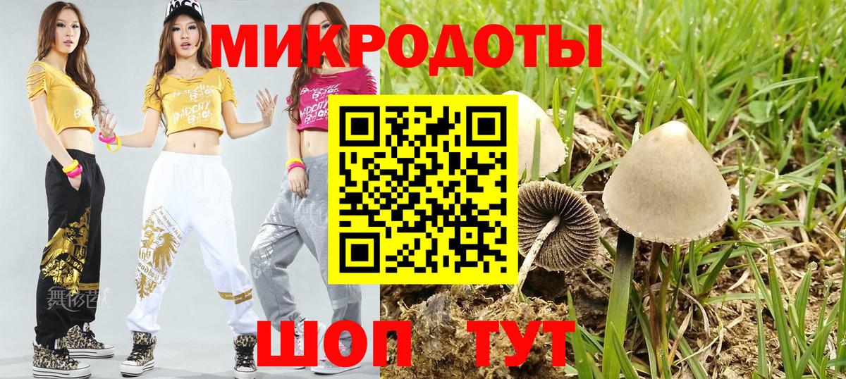 где купить наркоту  Псилоцибиновые грибы мухоморы  Вход с VPN  Галлюциногенные грибы ЛСД  Нововоронеж 