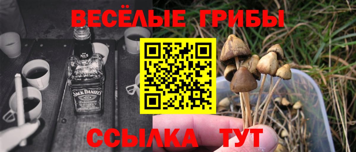 Галлюциногенные грибы мухоморы Нововоронеж
